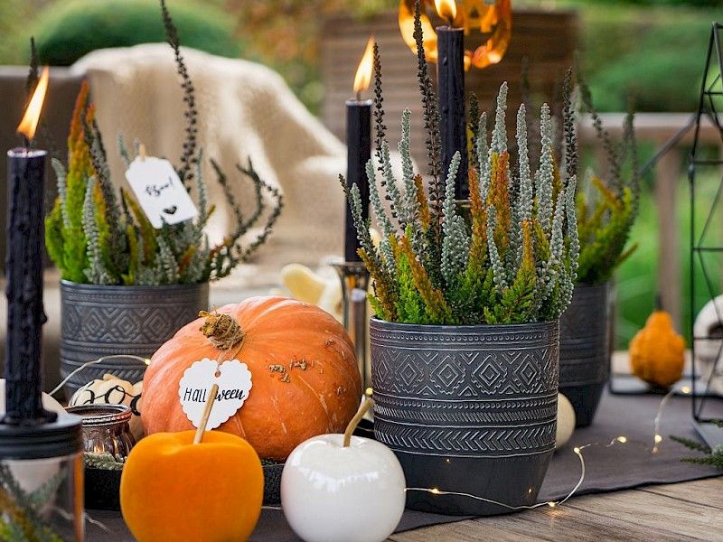 Gardengirls® Twister® schöne Halloween-Dekoration für deine Terrasse