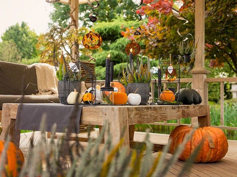 Gardengirls® Twister® wunderschön gruselige Halloween-Dekoration mit Heide