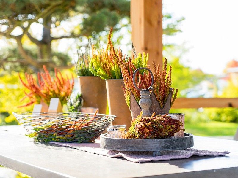 Gardengirls® Sunset Girls® Herbst-Dekoration mit Heide auf der Terrasse
