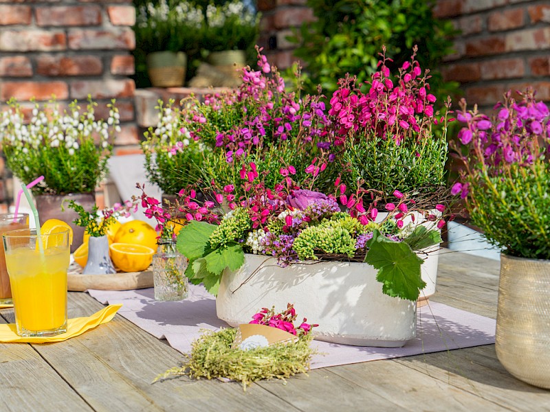 Gardengirls® Summer Dinner – farbenfrohe Tischdekoration mit Heide