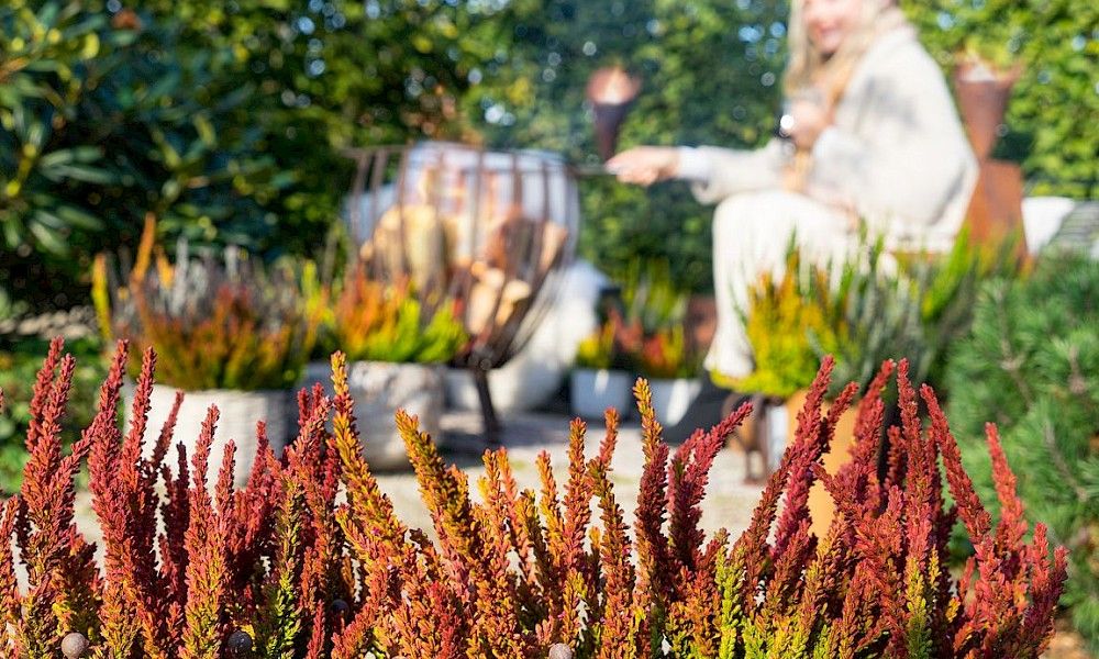 Gardengirls® Sunset Fire® Heide-Dekoration auf der Terrasse mit Feuerkorb