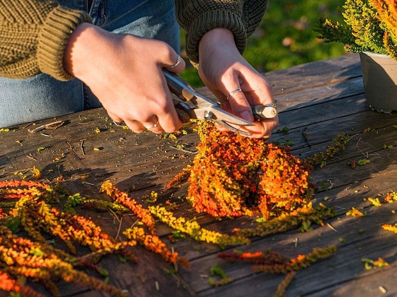 Gardengirls® Sunset Fire® Zoe DIY Heide-Herz binden