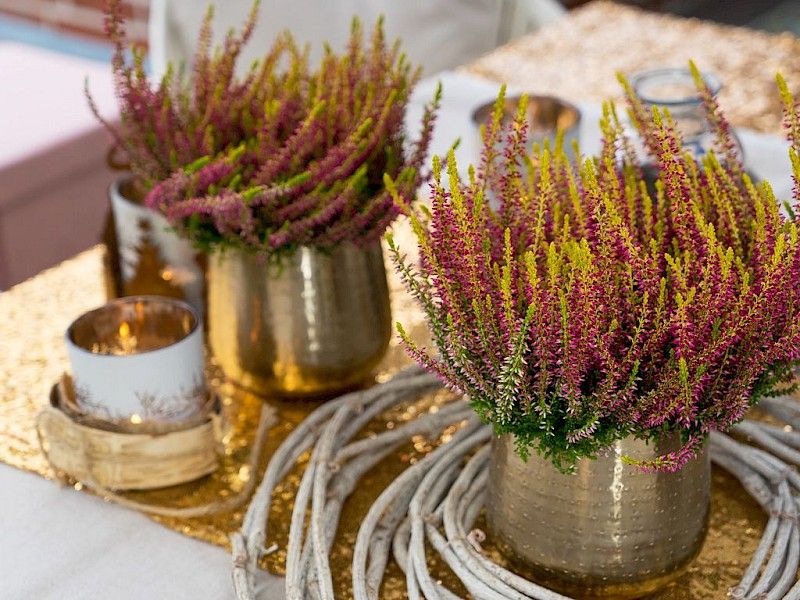 Gardengirls® Golden Angie Tischdekoration für festliche Anlässe