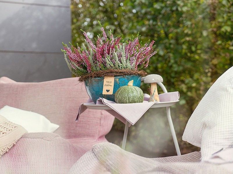 Gardengirls® Twister® – die Ideen deine Terrasse mit Heide zu dekorieren