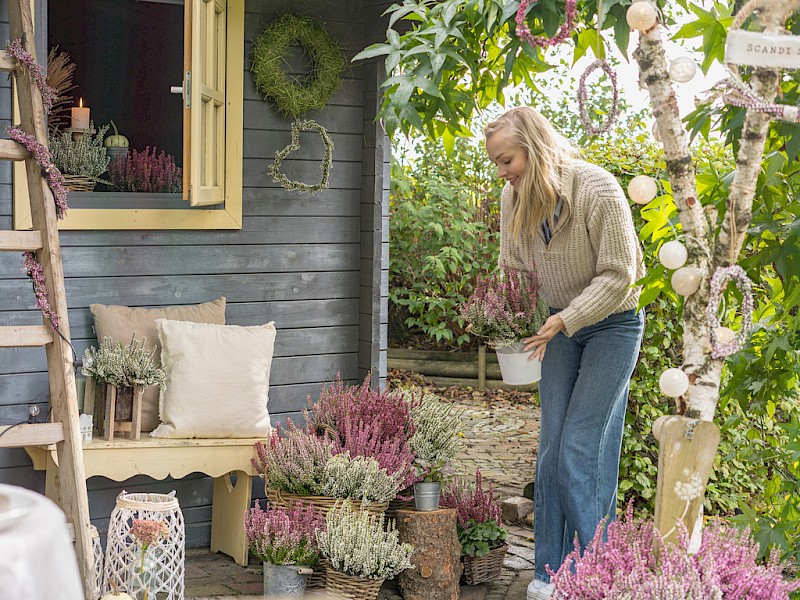 Gardengirls Lönneby – verschiedene Farben vor dem Gartenhaus dekoriert
