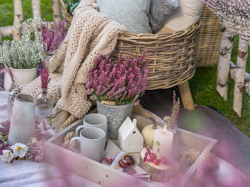 Gardengirls Lönneby – Picknick mit Heide in Töpfen