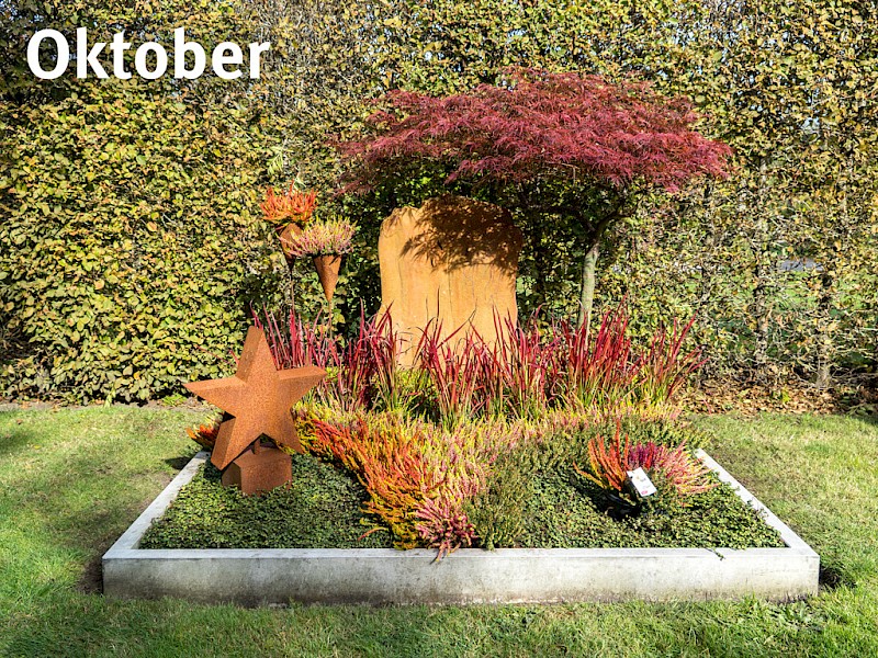 Gardengirls Ewigheid Grabgestaltung mit Golden Angie im Oktober