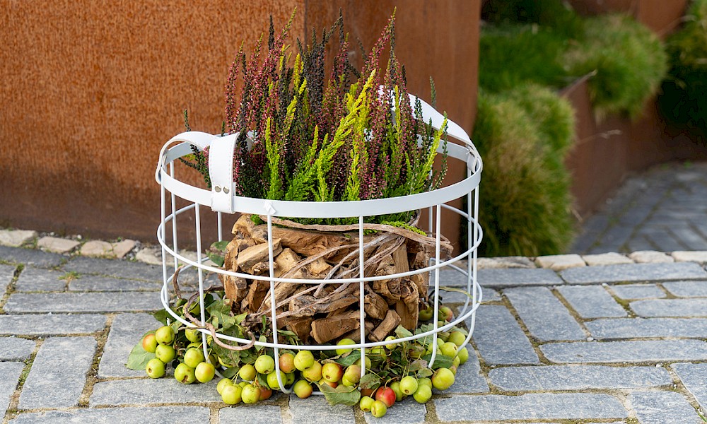 Gardengirls® Twister® im Korb – farbenfrohe Dekoration für die Terrasse mit Heide